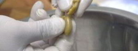 салат греческий с мясом. Шаг 9