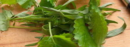 картофельный салат с брокколи, мелиссой и тархуном. Шаг 9