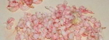 оливье с креветками и авокадо. Шаг 3