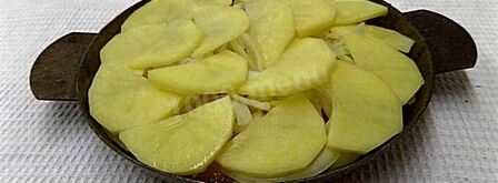 куриное мясо под шубой в духовке. Шаг 10