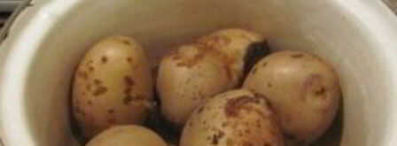 салат с гранатом и мясом. Шаг 4