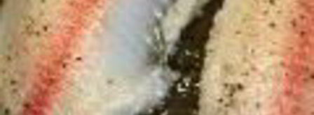 салат цезарь морской. Шаг 3