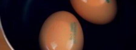 салат цезарь с соусом. Шаг 3