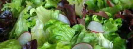 весенний салат с французской заправкой. Шаг 9