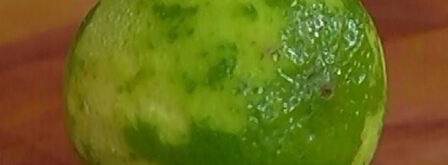 восточный салат с курицей. Шаг 6