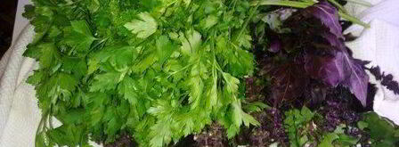 кетчуп домашний пряный. Шаг 4