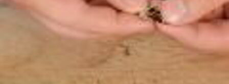 кетчуп с нектаринами. Шаг 3