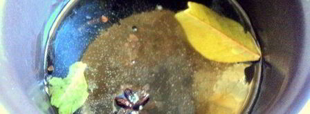 маринад ассорти. Шаг 4