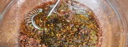 маринад для грудинки. Шаг 5