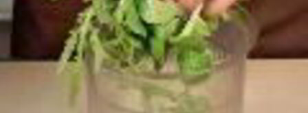 песто из корн-салата и руколы. Шаг 3