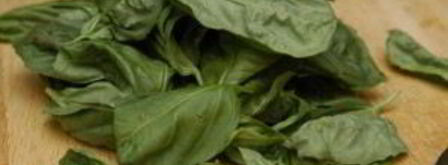 песто на сковороде. Шаг 4