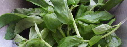 песто с крапивой. Шаг 4