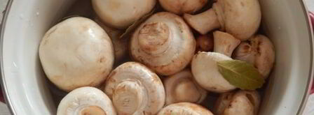 сациви с грибами. Шаг 5