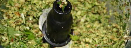 сациви с куриными грудками. Шаг 3