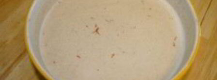 сациви с курицей. Шаг 10