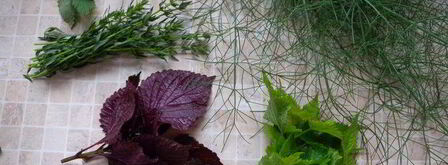 соус сливовый ткемали. Шаг 5