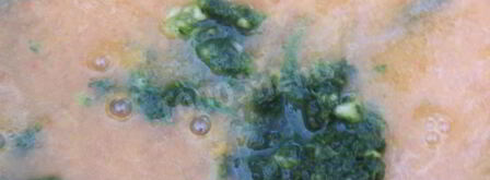 соус ткемали из слив. Шаг 12