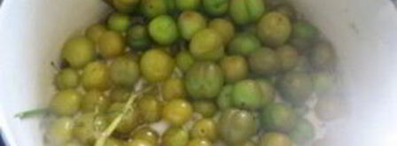 соус ткемали из зеленых слив. Шаг 3