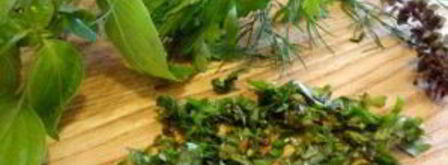 ткемали из слив. Шаг 9