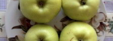 утка в соусе ткемали с медом. Шаг 7