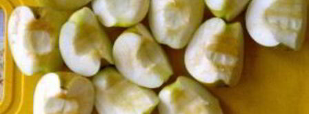 утка в соусе ткемали с медом. Шаг 8