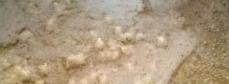 сырный соус из плавленого сыра. Шаг 3