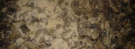 борщ грибной с ушками. Шаг 7