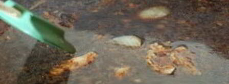 куриный бульон по-французски. Шаг 6