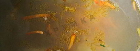 куриный бульон с лапшой. Шаг 18