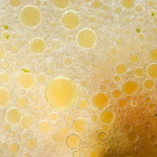 Рецепт мясного бульона с овощами