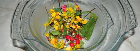 арбузный гаспачо в ледяной тарелке. Шаг 3