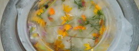 арбузный гаспачо в ледяной тарелке. Шаг 6