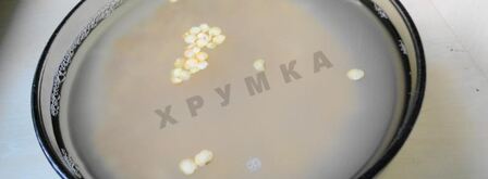 гороховый суп с копчеными ребрышками в мультиварке. Шаг 3