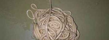 лагман со спагетти. Шаг 12