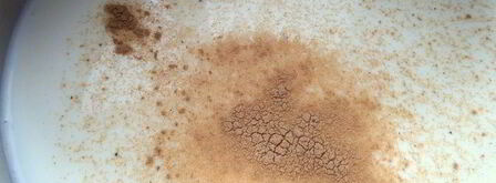 ванильно-молочный суп с кускусом. Шаг 3