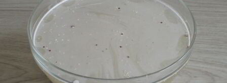 суп овощной с киноа. Шаг 8