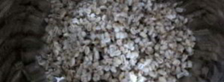 рассольник с колбасой. Шаг 3