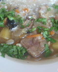 Кислые щи с сухими грибами