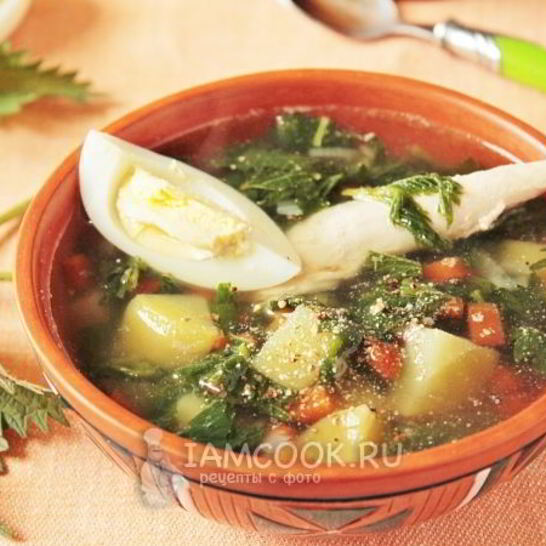 Рецепт щей из крапивы с яйцом