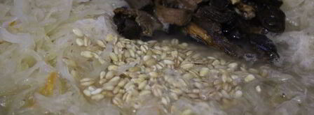 щи из квашенной капусты с грибами и перловкой. Шаг 4