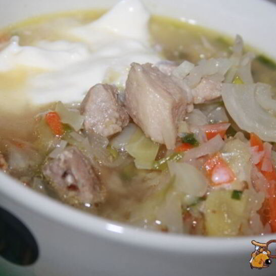 Рецепт щей со свежей капустой и свиной грудинкой