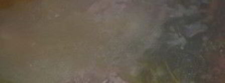 шурпа из гуся. Шаг 7