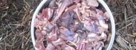 шурпа из зайца. Шаг 6