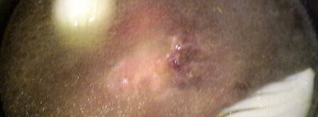 шурпа с нутом. Шаг 4