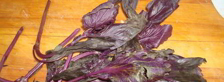 узбекская шурпа из баранины. Шаг 13