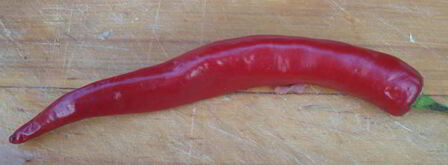 узбекская шурпа из баранины. Шаг 10