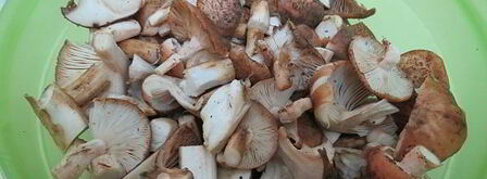 постная солянка с грибами и капустой. Шаг 4