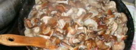 солянка из опят с капустой. Шаг 6