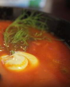 Солянка Легкая