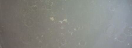 харчо из курицы. Шаг 6